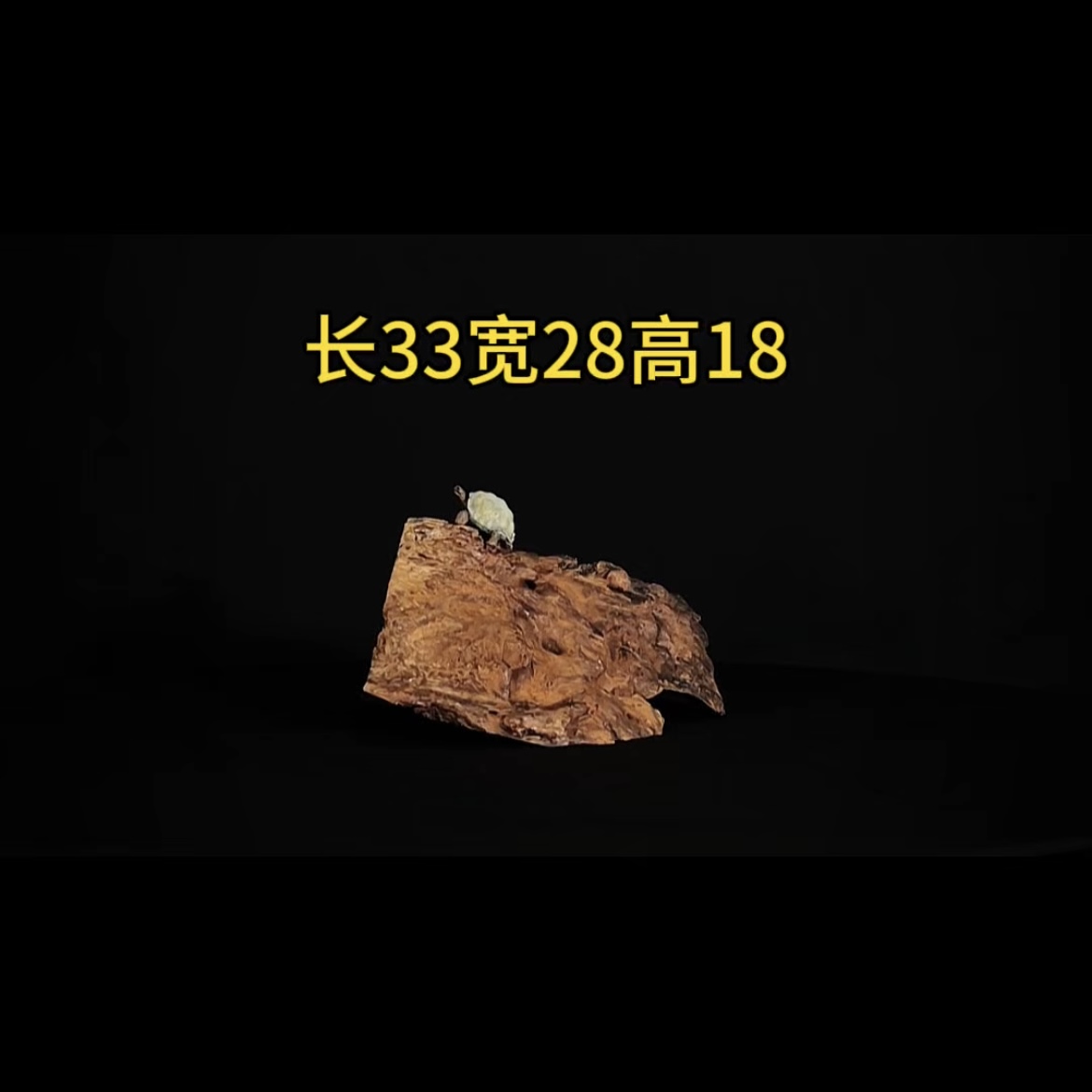 张大狼造景沉木长33cm半洞乌龟晒台水族造景沉木 紫柚木秒沉
