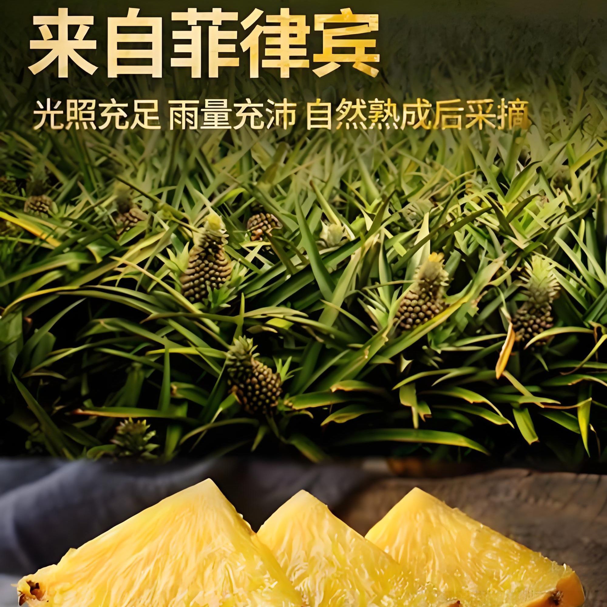 果切菲律宾黑钻凤梨【外卖到家】500g一盒