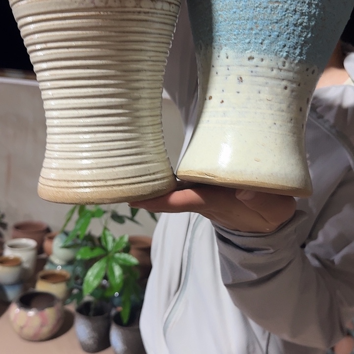 花盆灰蓝鱼尾一对