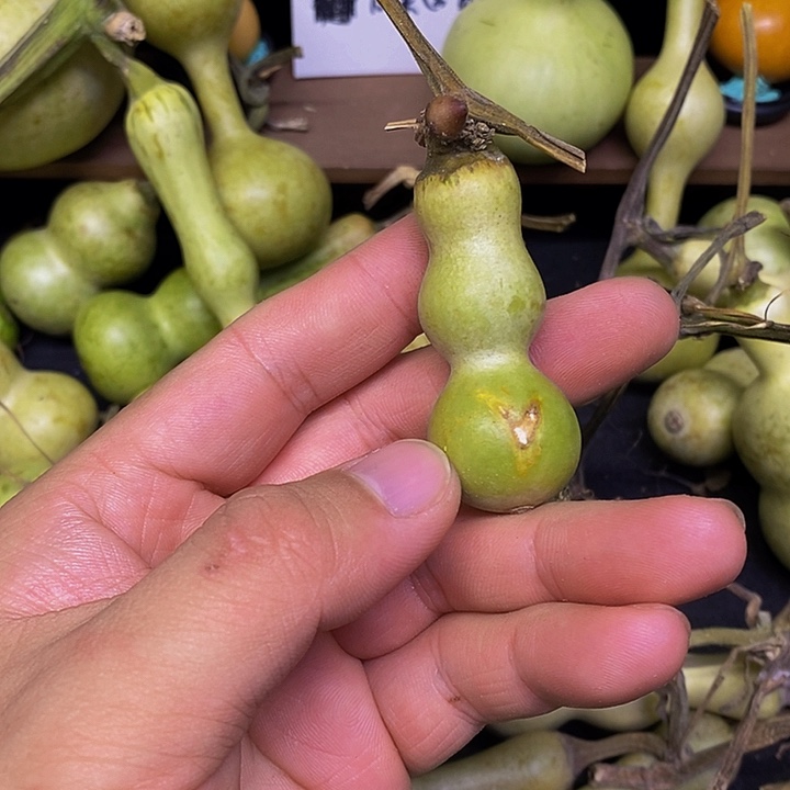 小**迷长嘴哈哈哈哈哈哈哈哈哈哈哈哈太