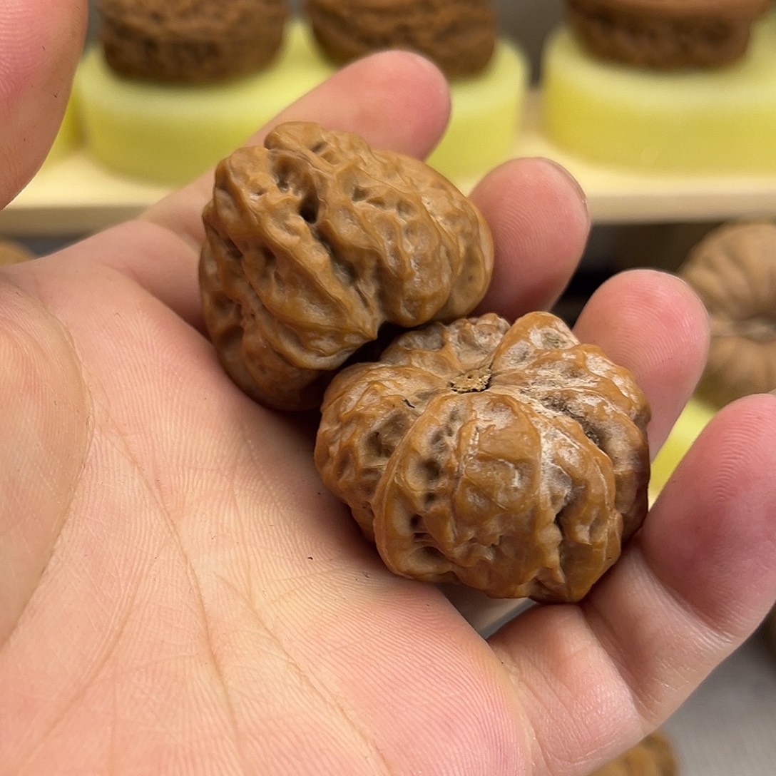 一***军核桃35尺小蛤蟆一对