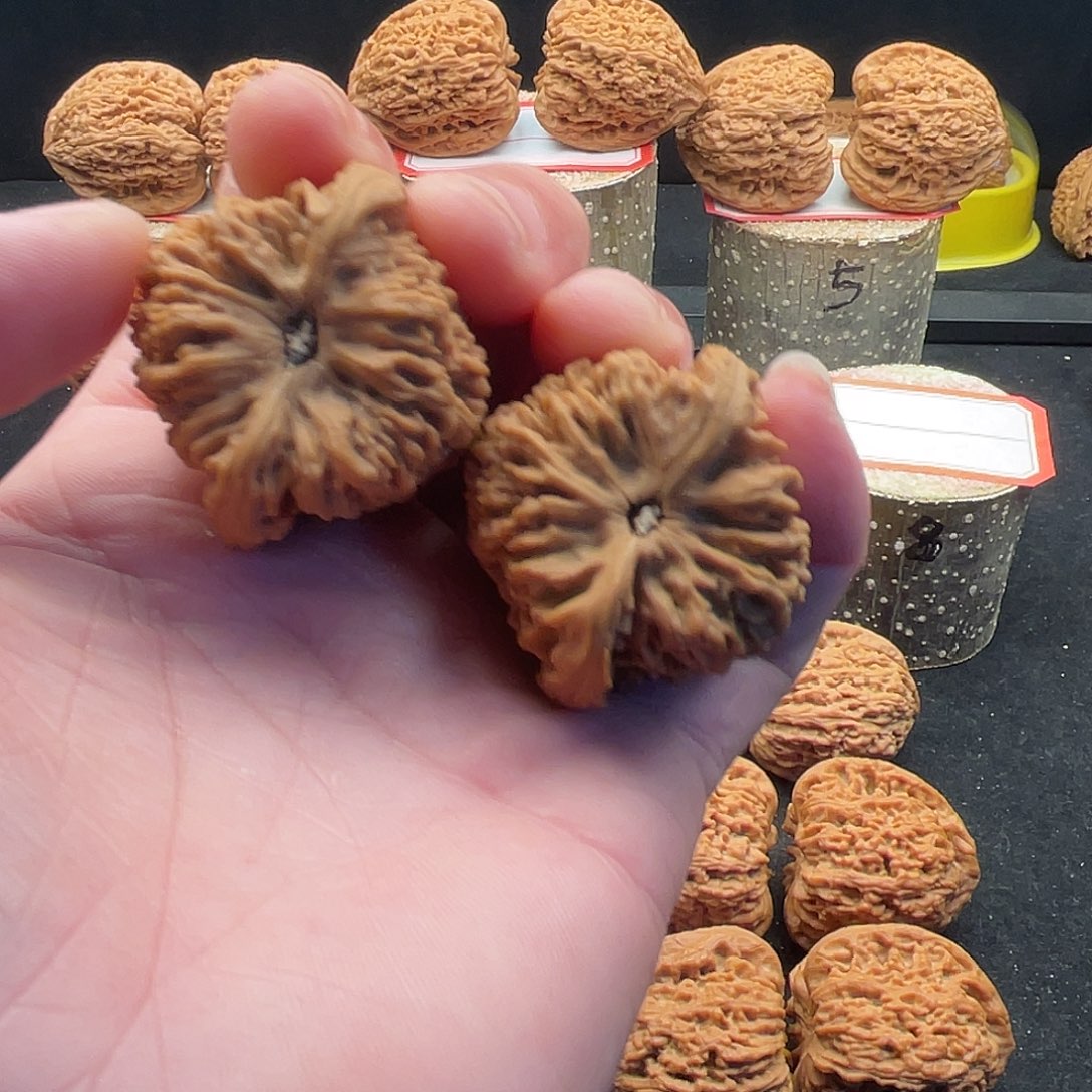 文玩核桃把件.*南疆核桃文玩把件