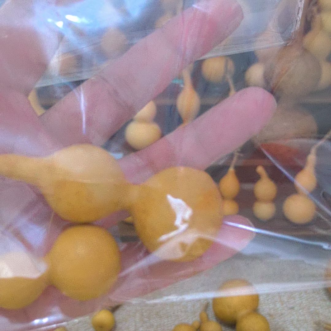 李***生我的葫芦娃们一块去图书馆看看