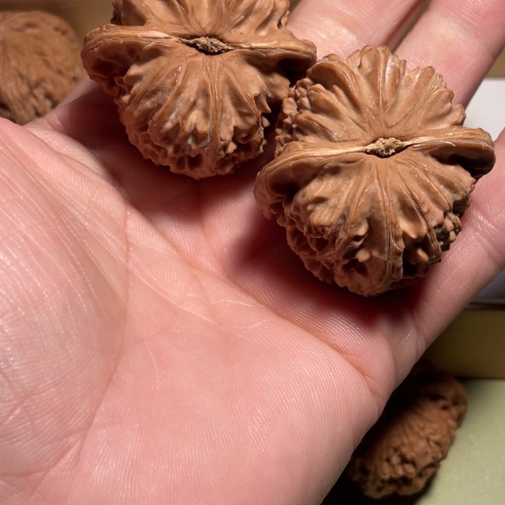 天****文玩核桃把件核桃