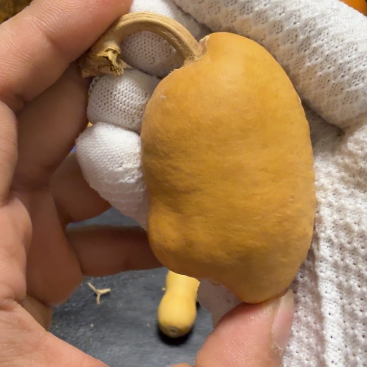 佛***人6…………………………………………