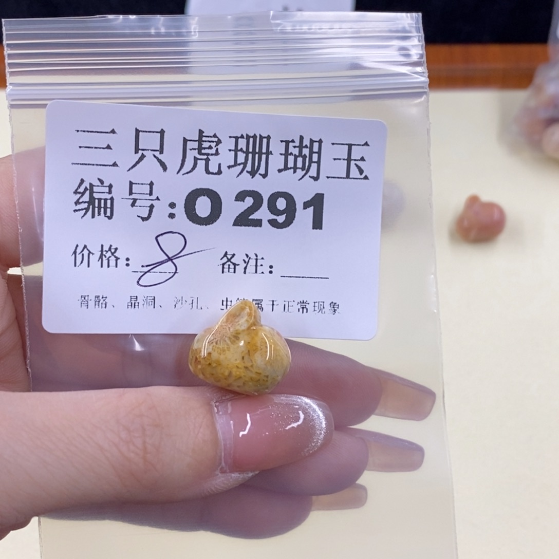硅化珊瑚（珊瑚玉）未镶嵌1爱**满