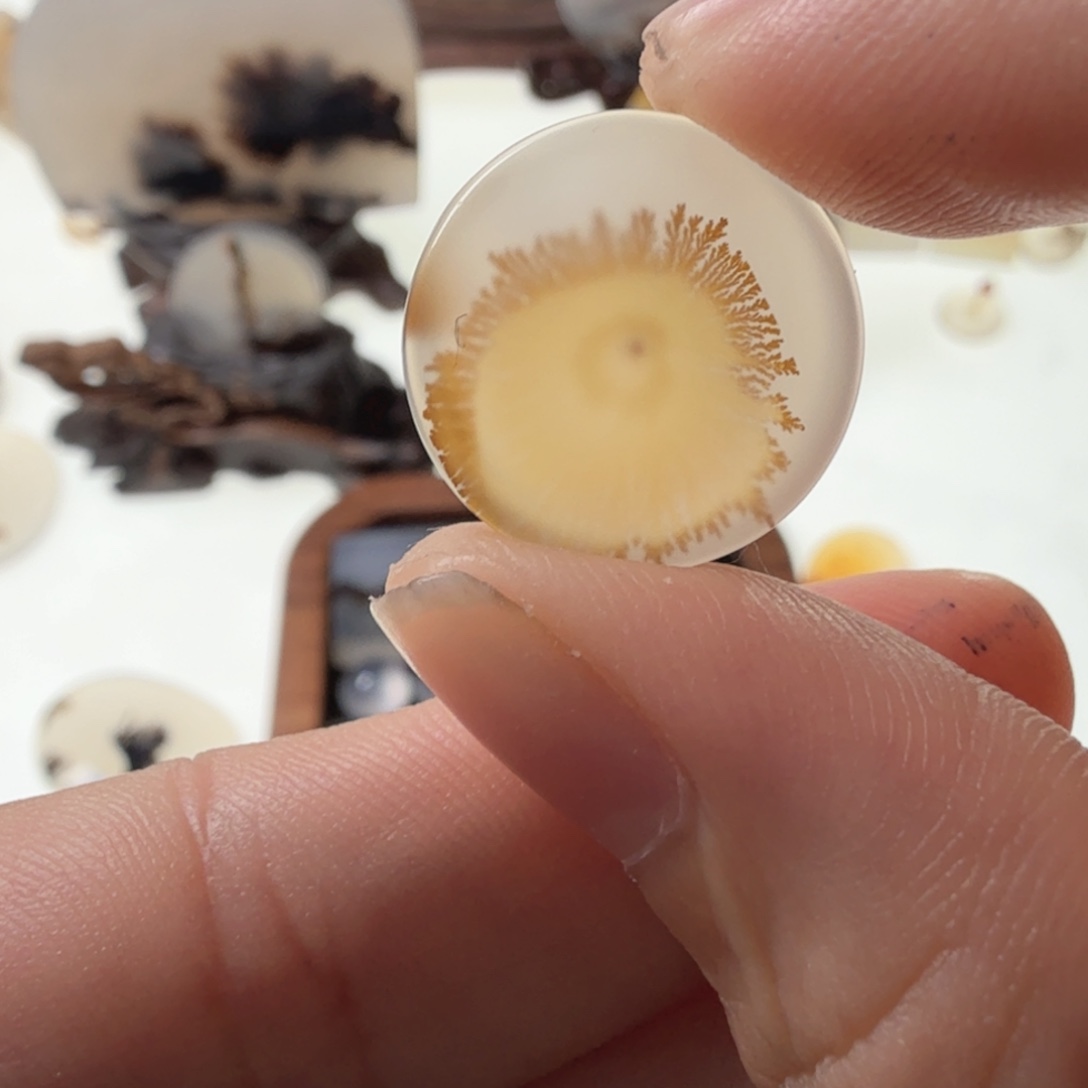 玛瑙/玉髓未镶嵌珠宝半成品