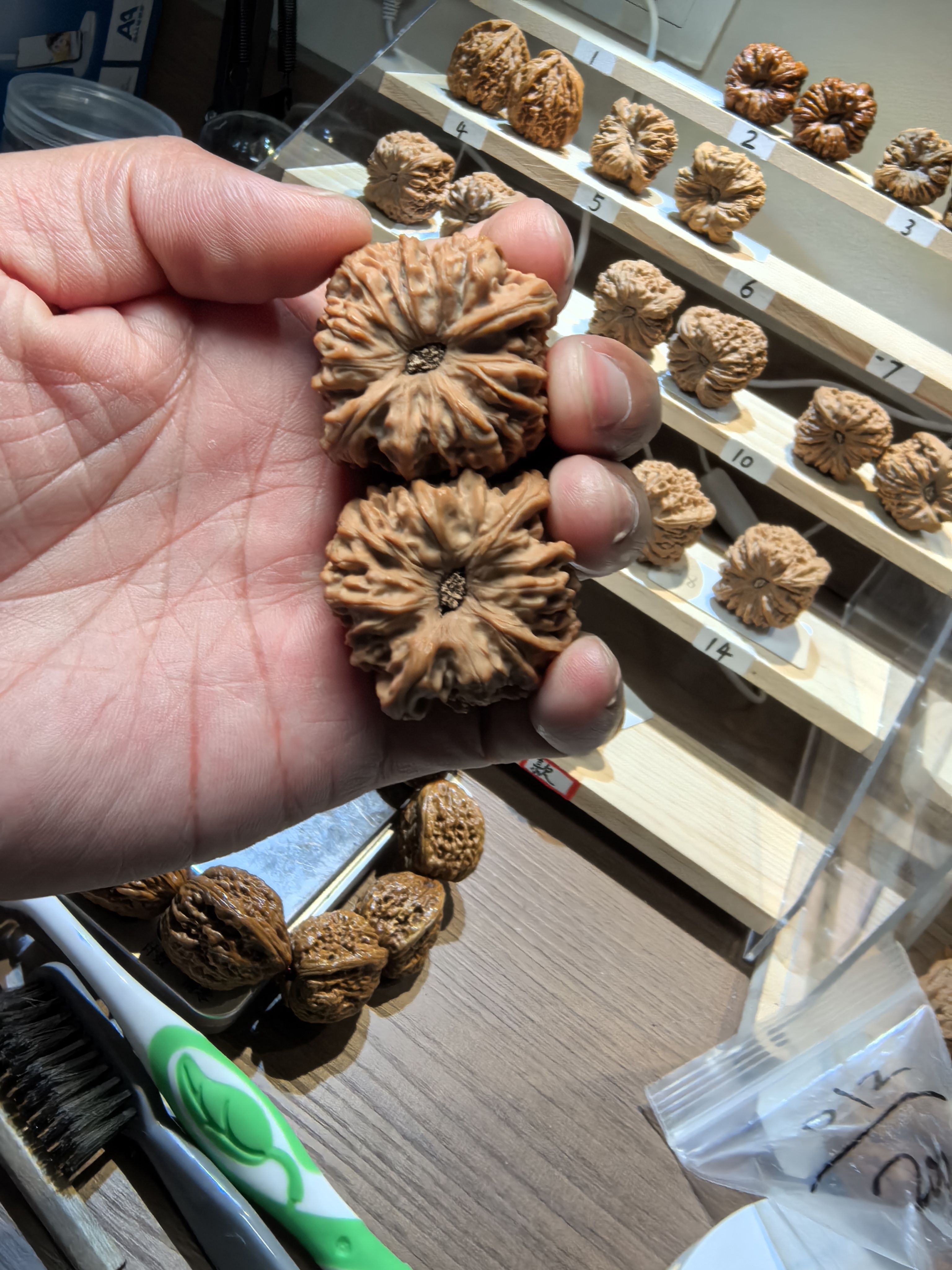 鲸品南疆石核桃核桃