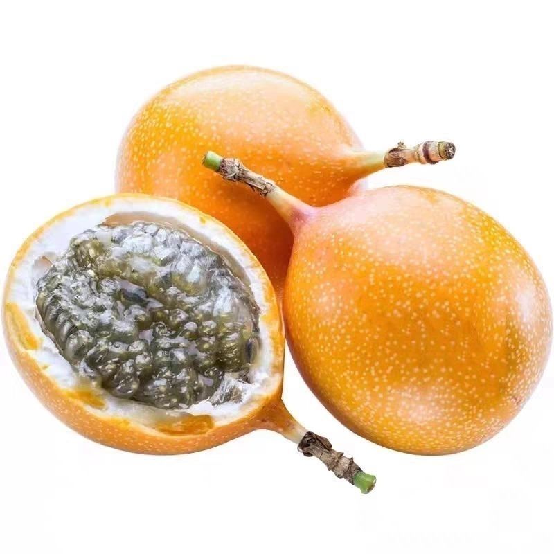 热情果：绿植，观花赏叶吃果，哥伦比亚热情果，云南芒市发货顺丰