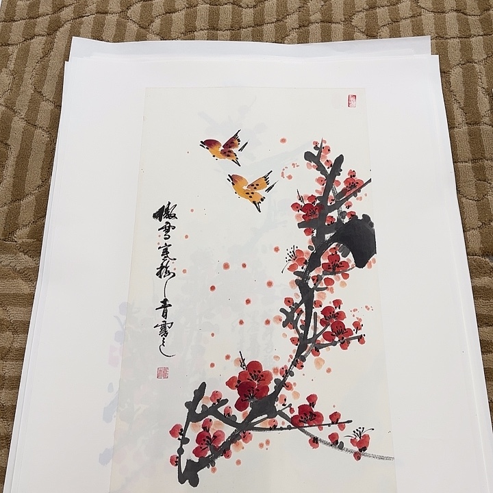 国画花鸟的翅膀和翅膀都是白色70.35