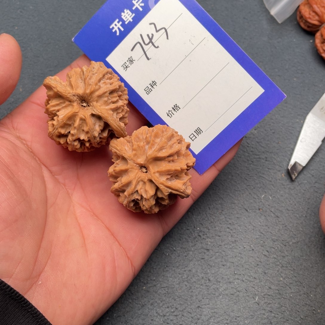 核桃把件43苹果园，743号