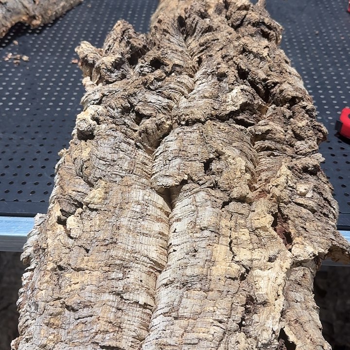 淘***缘无花朵一物一拍一物一发