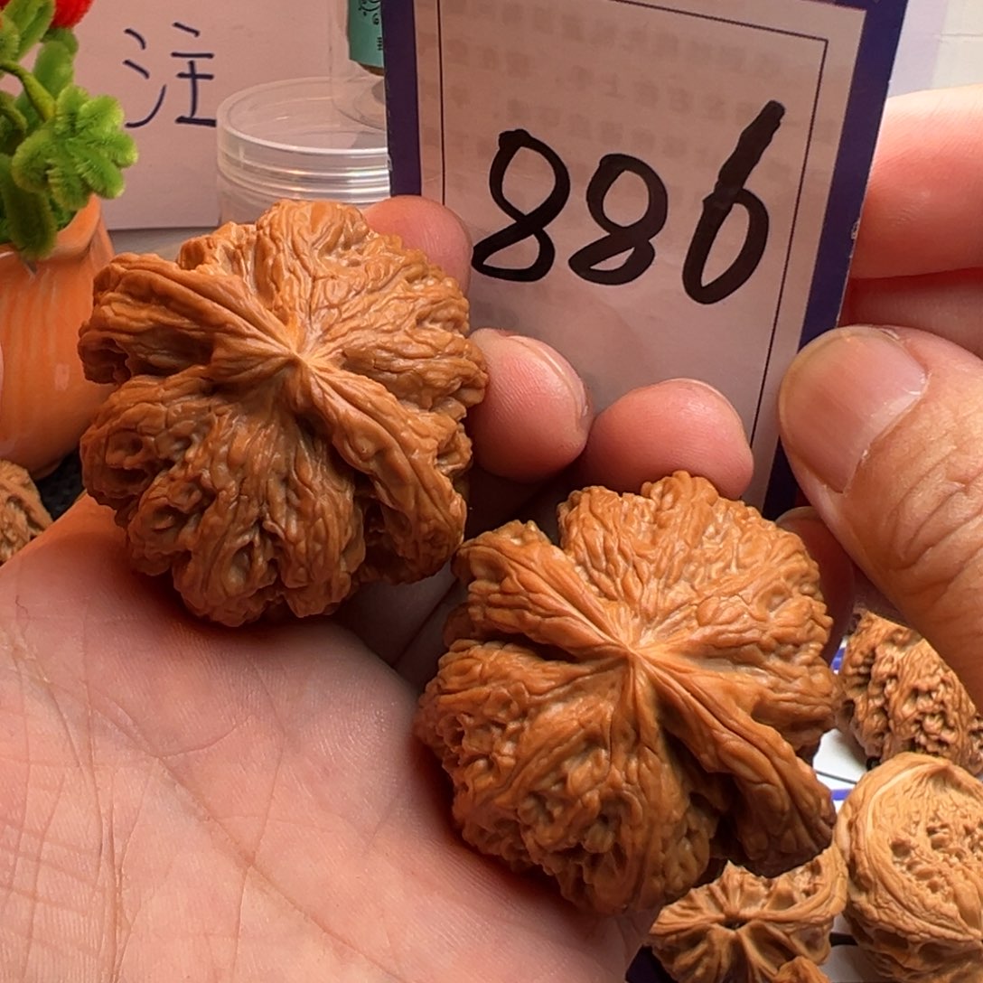 文玩核桃把件全品平谷大粗筋47.5尺寸886号