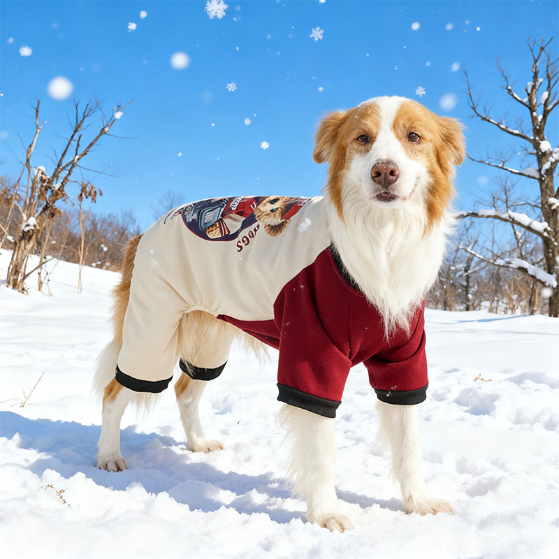 秋冬宠物四脚衣中大型犬边牧金毛哈士奇加绒保暖撞色卫衣狗狗衣服
