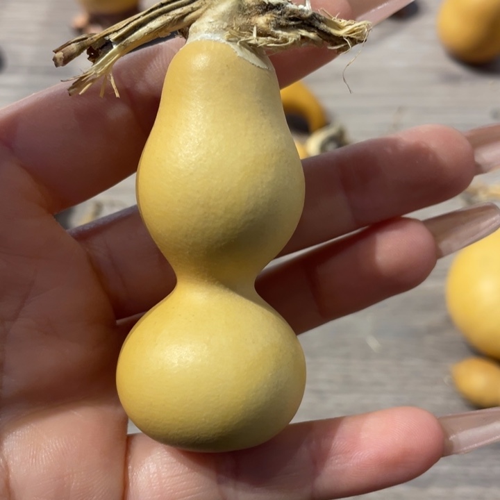 空*心粗嘴葫芦葫芦葫芦