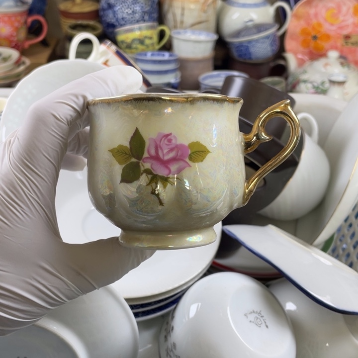 碟开播了开播了开播了