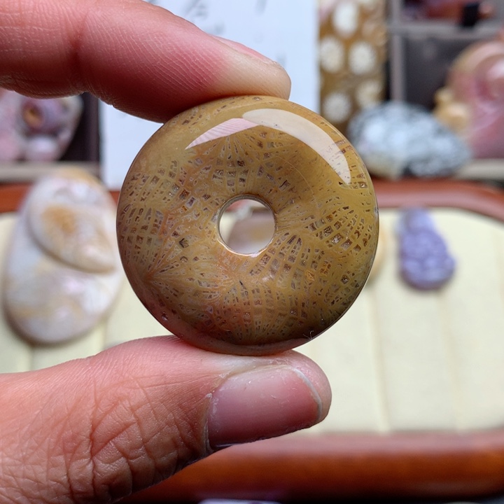 硅化珊瑚（珊瑚玉）颈饰未镶嵌