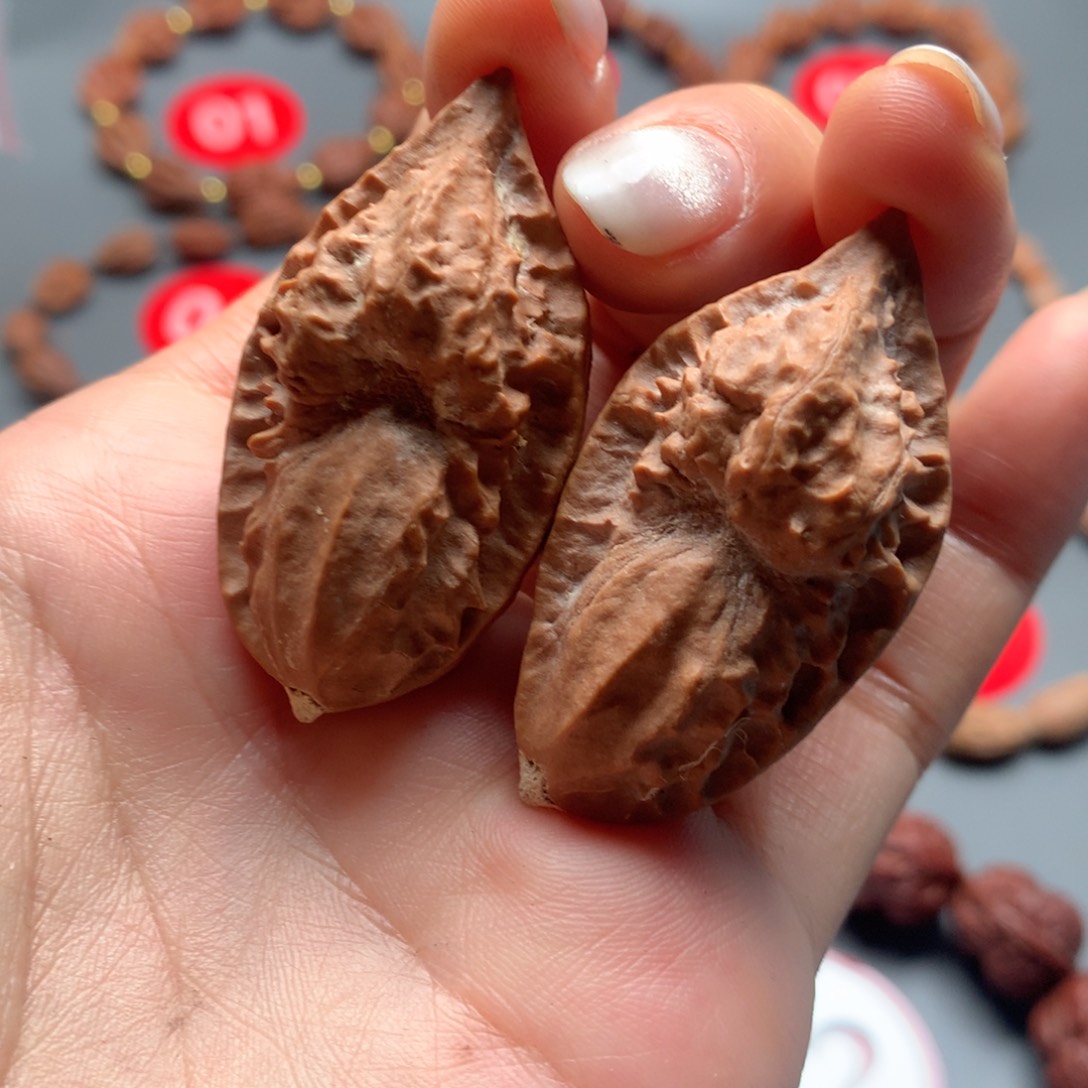 核桃7东北秋子鬼脸