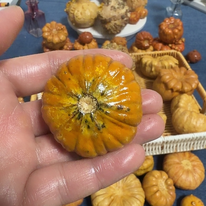 *****墨西哥七彩疙瘩葫芦