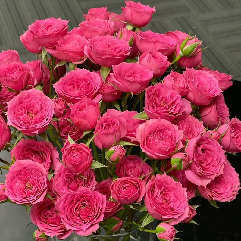 【苏菲宝贝】多头玫瑰新鲜鲜花花束云南鲜花基地直发适合客厅装饰