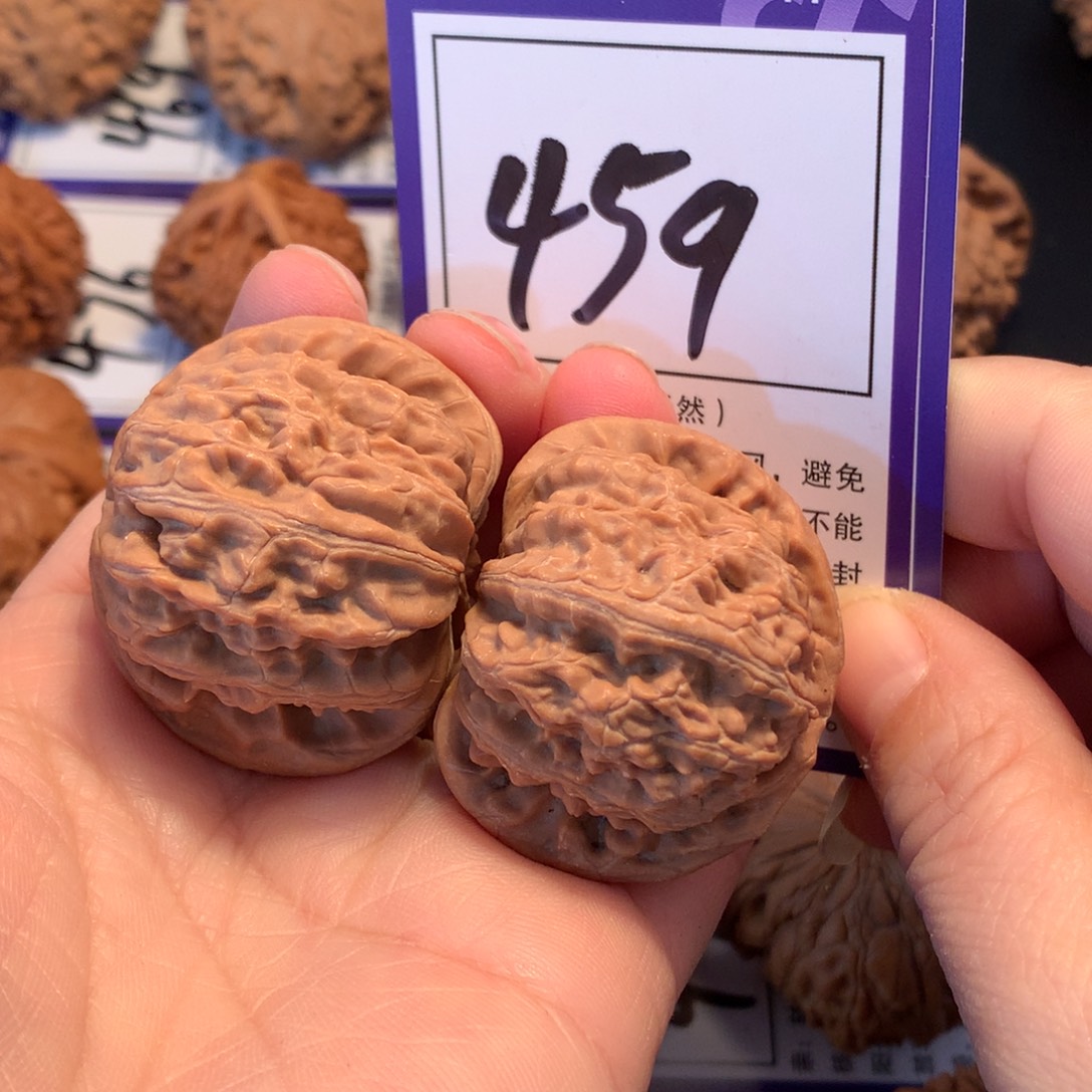 核桃459白狮子4.0全品