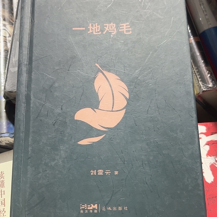 一地鸡毛新书推荐