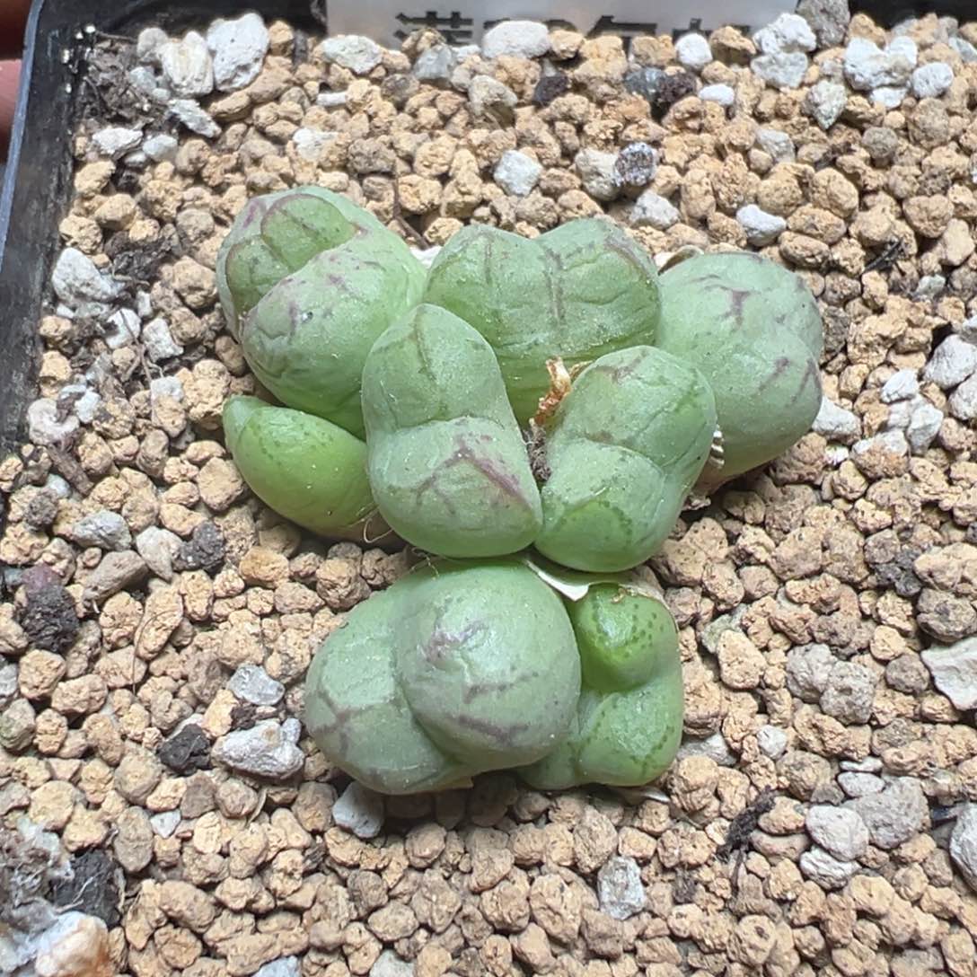 【闪购商品】 678。