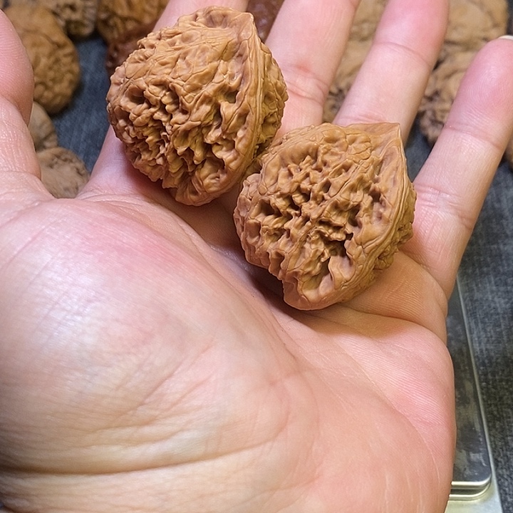 了***.核桃全品无修无药41水龙