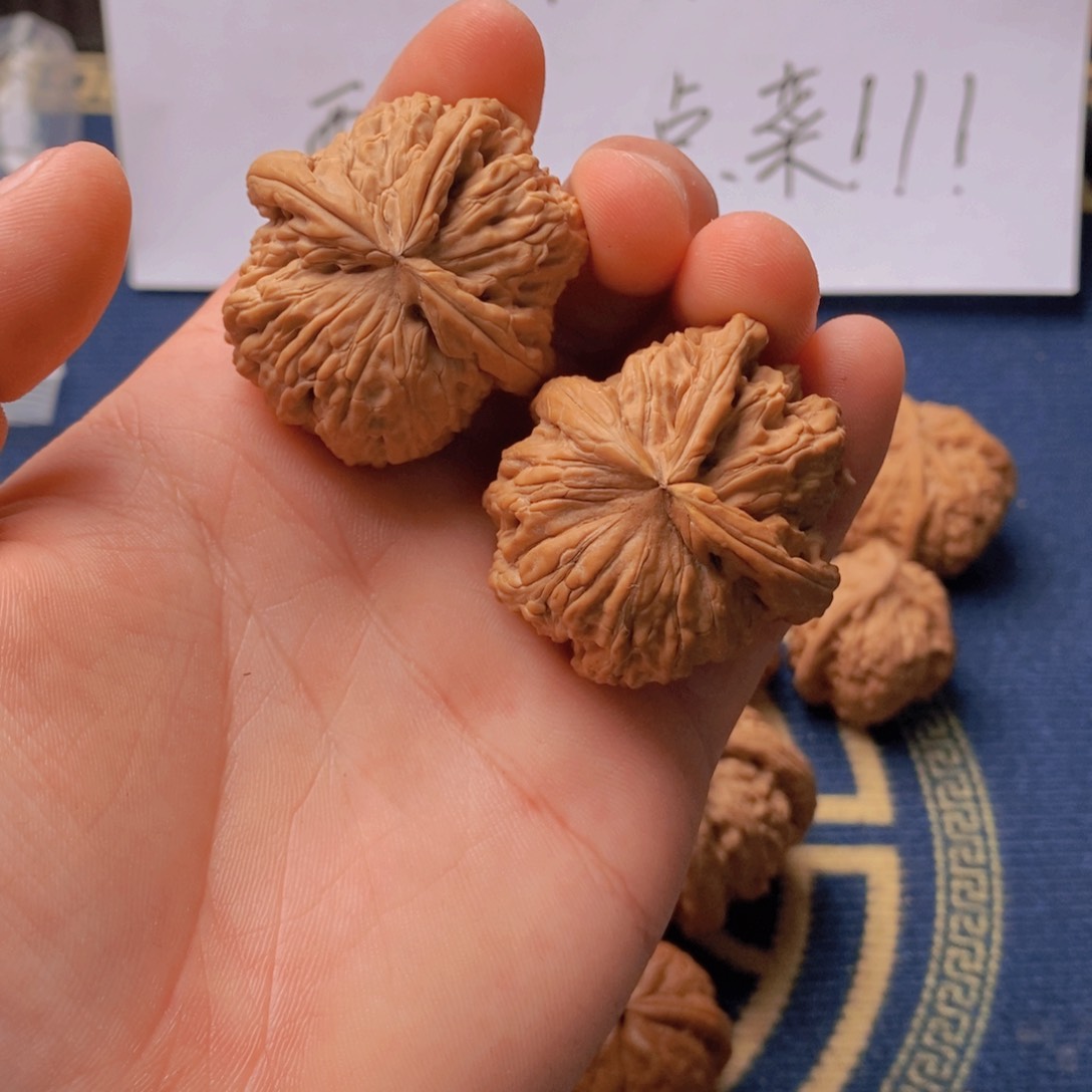 文玩核桃把件文玩核桃白狮子三棱挂角（全品白茬）