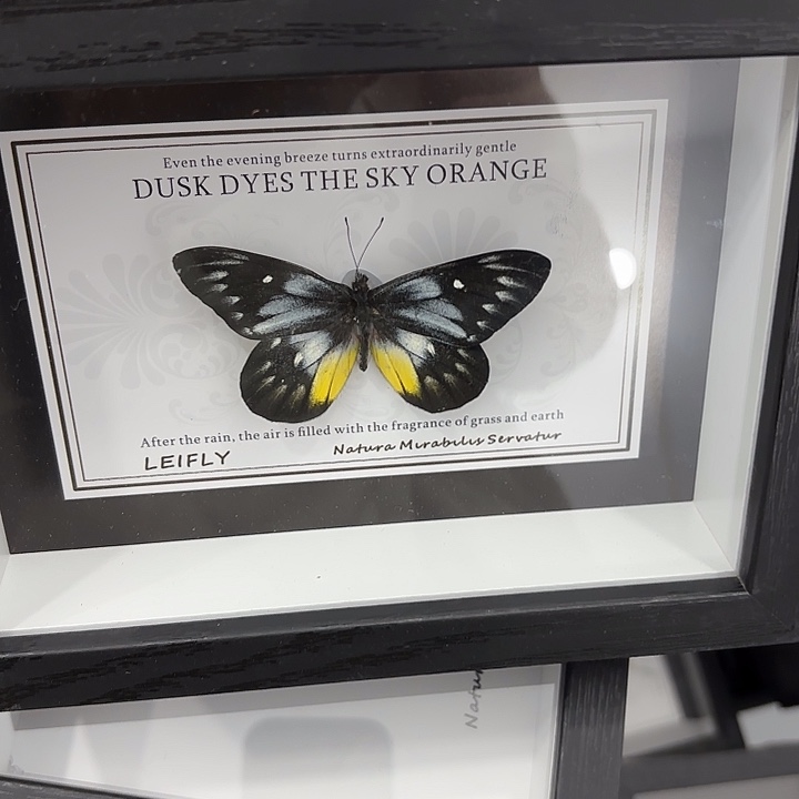 七寸圣诞款随机发三个