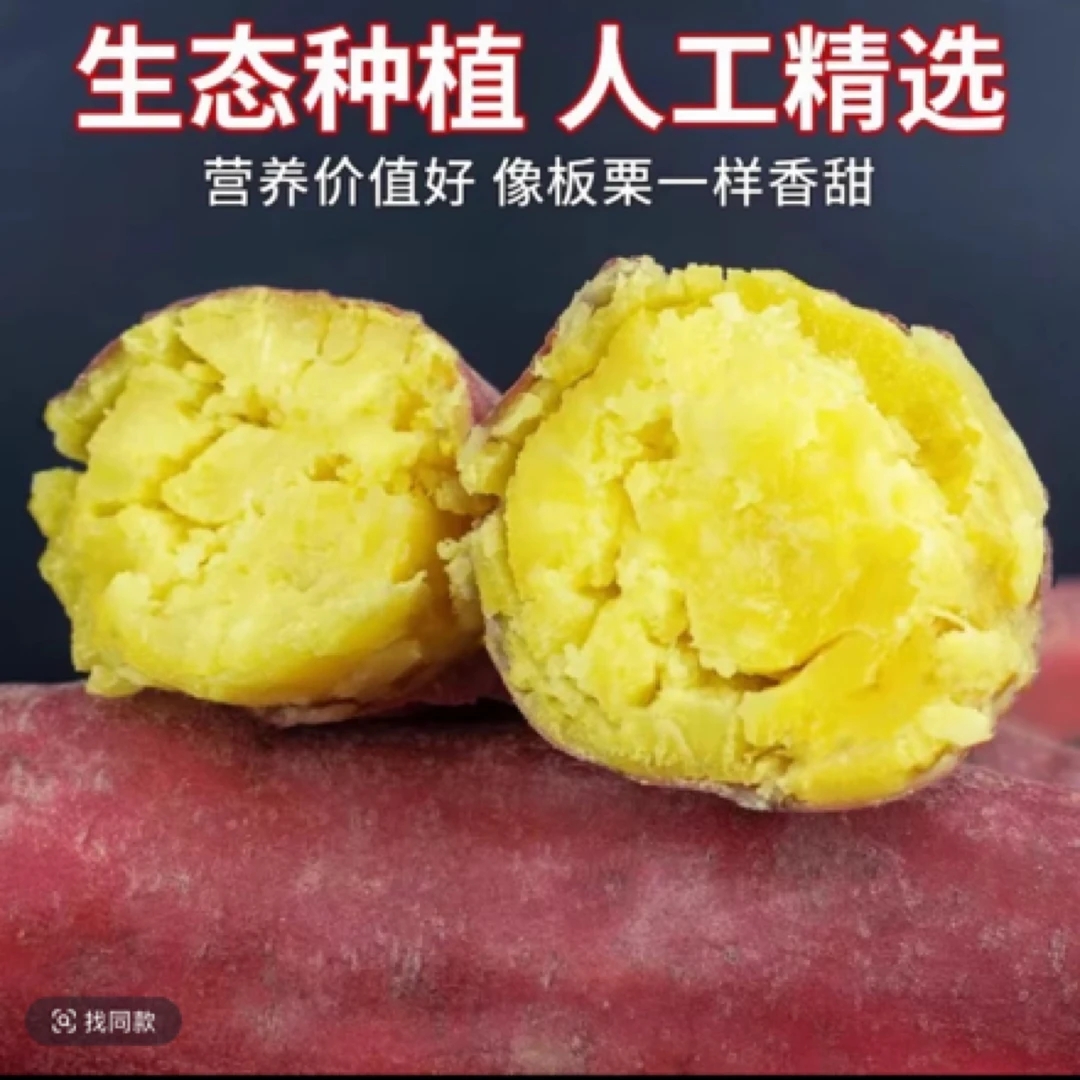 【买3斤送2斤净重5斤】陕西正宗板栗红薯粉糯香甜饱满皮薄现挖