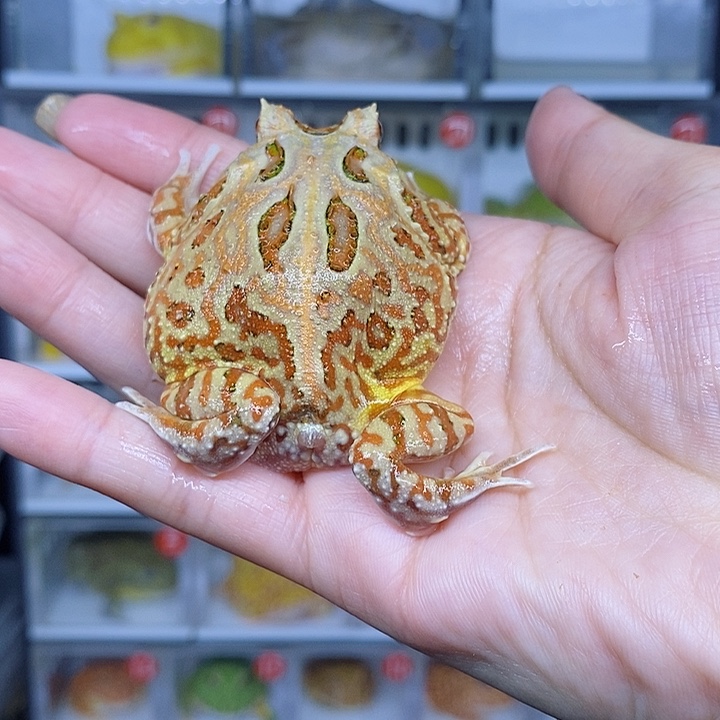 特价秒杀现货特价