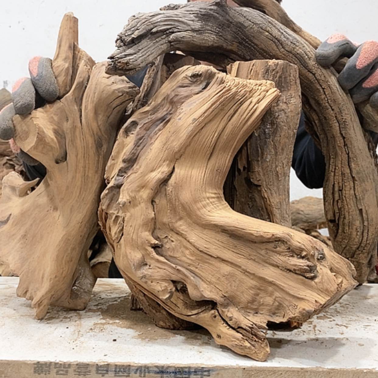 【闪购商品】柏木忆*我们都是好孩子