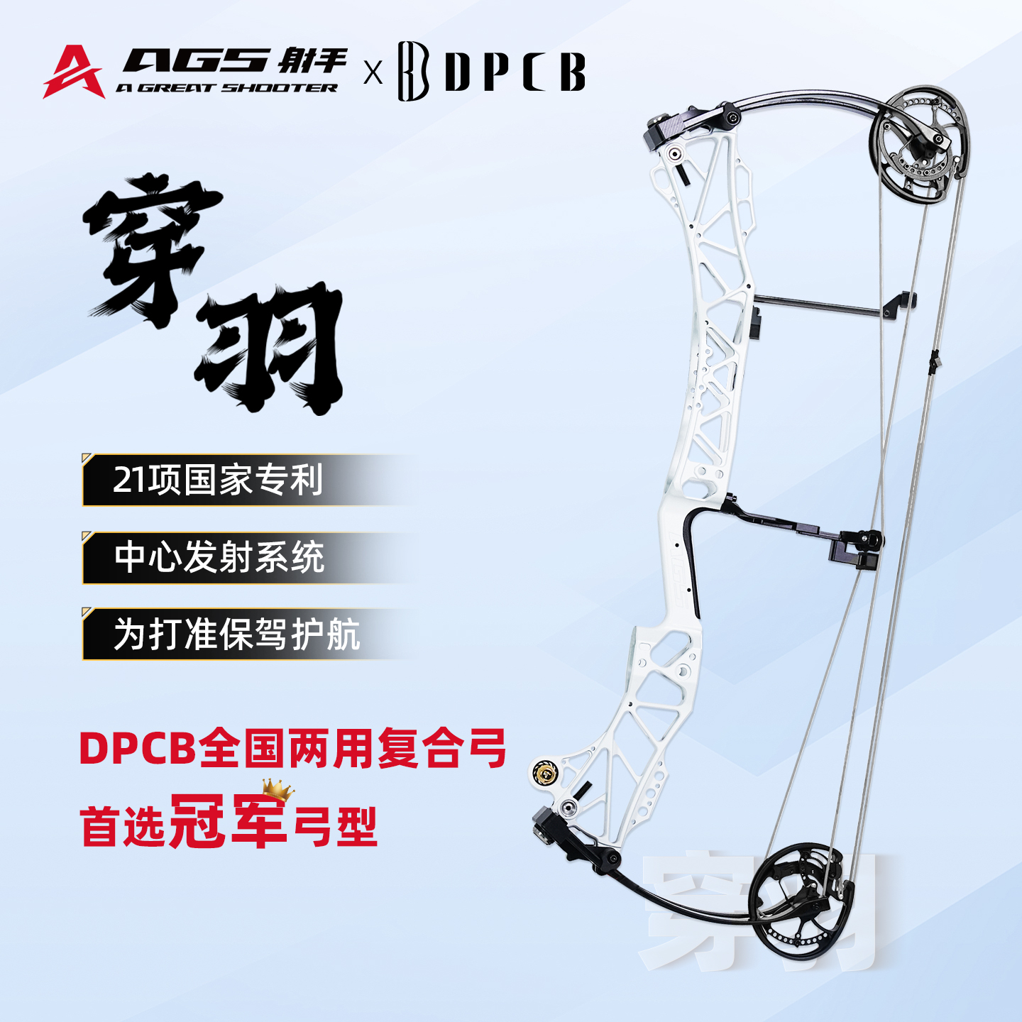 穿羽两用复合弓高精准射箭射击打钢珠训练比赛运动复合弓联赛推荐