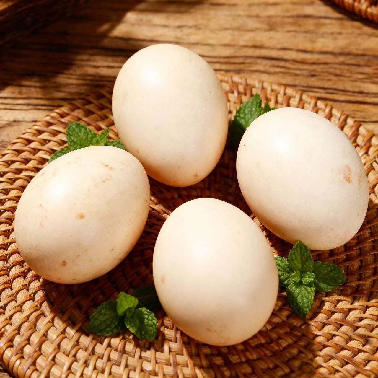 农村散养新鲜土鹅蛋农村生态散养适合孕妇孩子中年食用