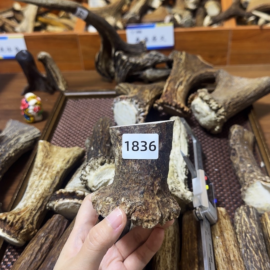 鹿骨手串/手链1836角根