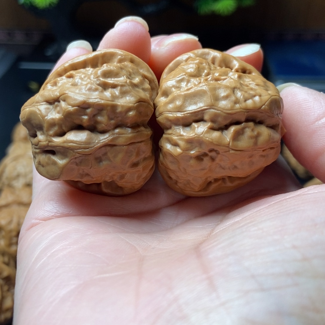 文玩核桃把件蛤蟆头38