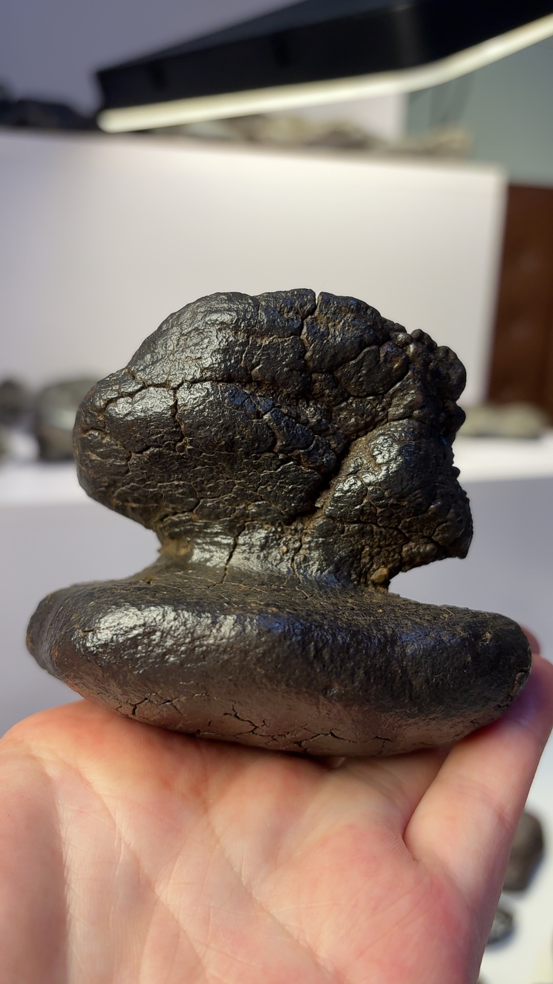 直播拍货【2】号链接摆件