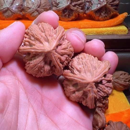 球奔御龙筋39边35高全品