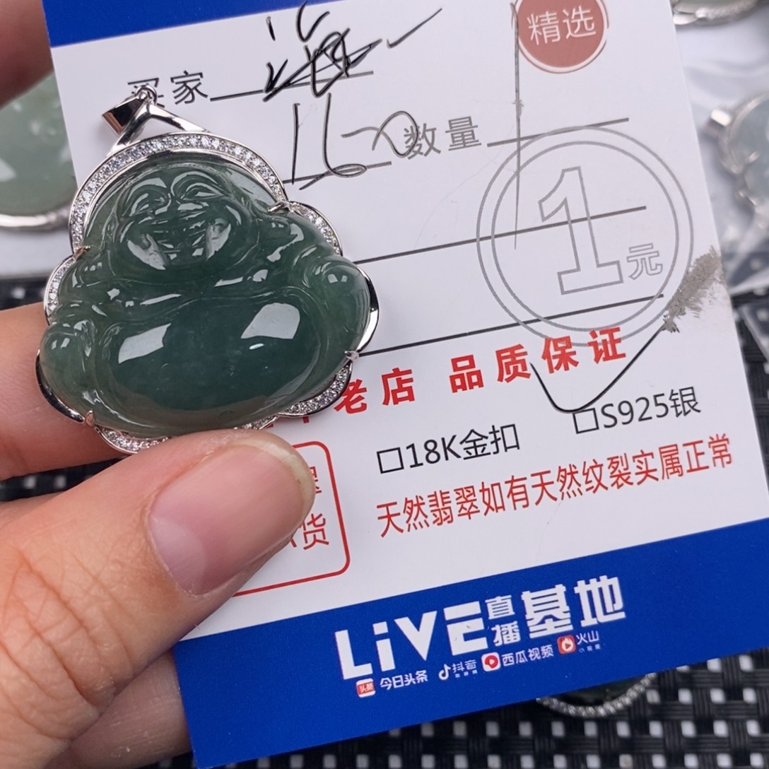 彭***林翡翠银S925镶嵌颈饰