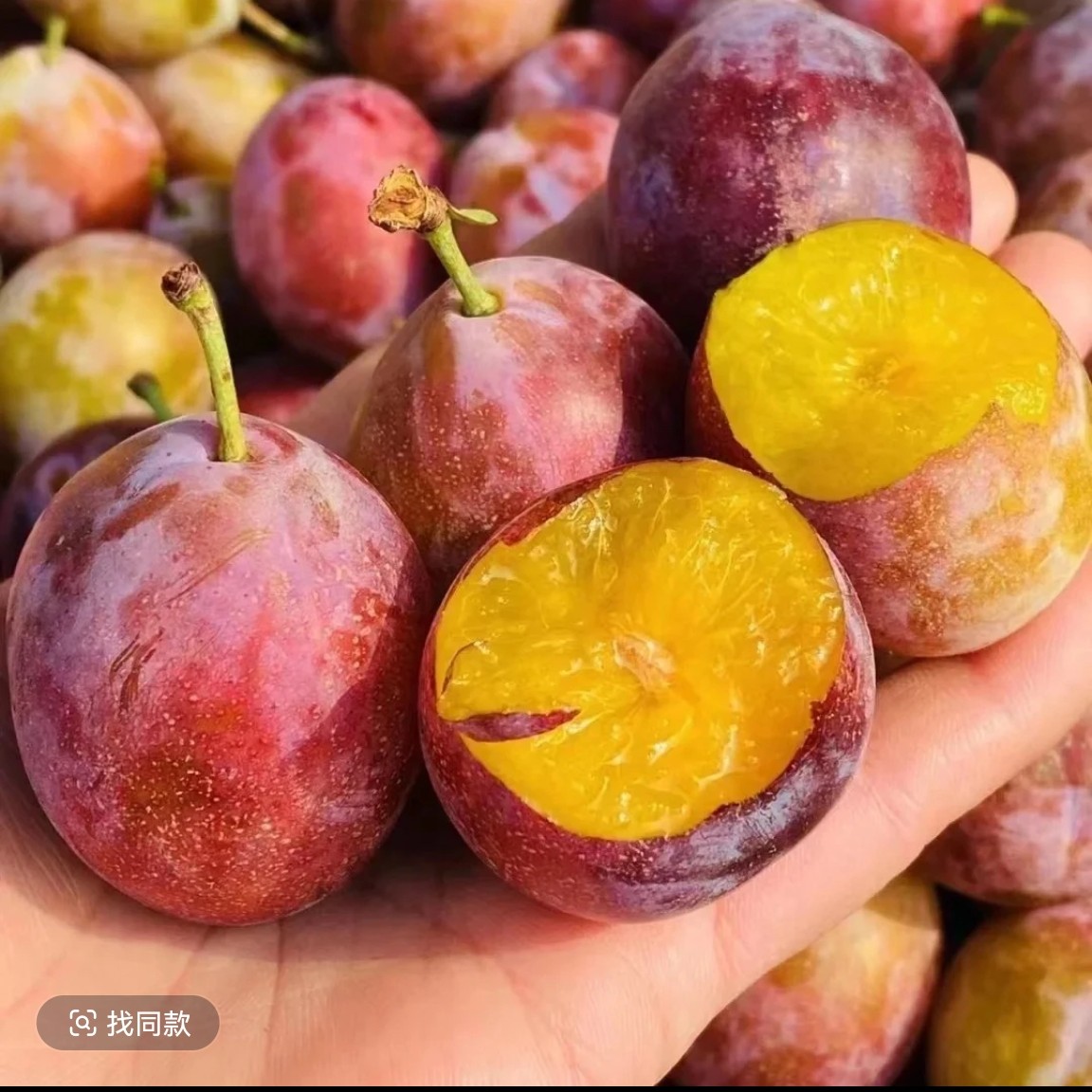 智利西梅 5斤一件