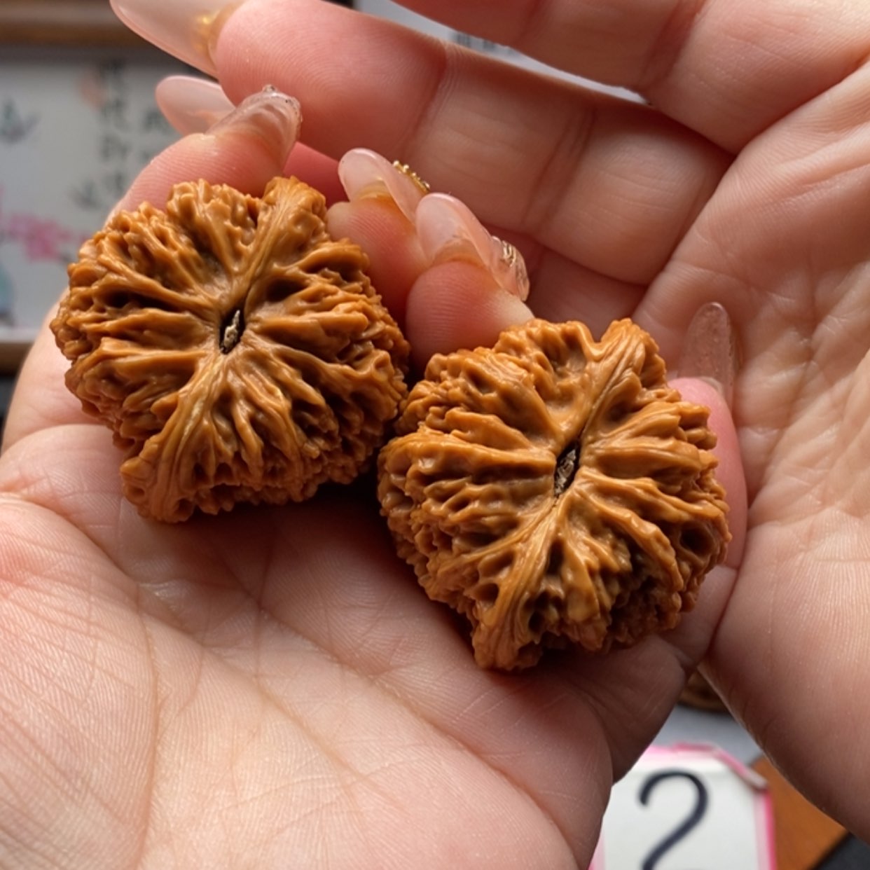 【闪购商品】落***根南疆石三角凹底拉丝6号