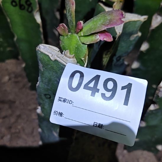 &***i073零度之上包邮491