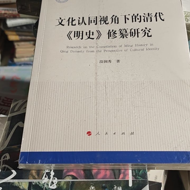 文化认同视角平装库存书