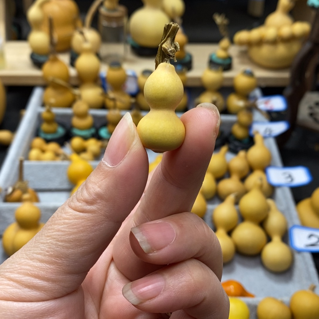 用****8直播间手把手小葫芦