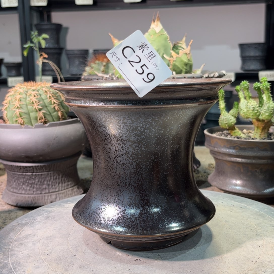 景德镇手工素里内口15.5高14