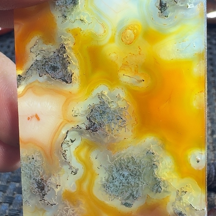 李***发玛瑙/玉髓未镶嵌颈饰