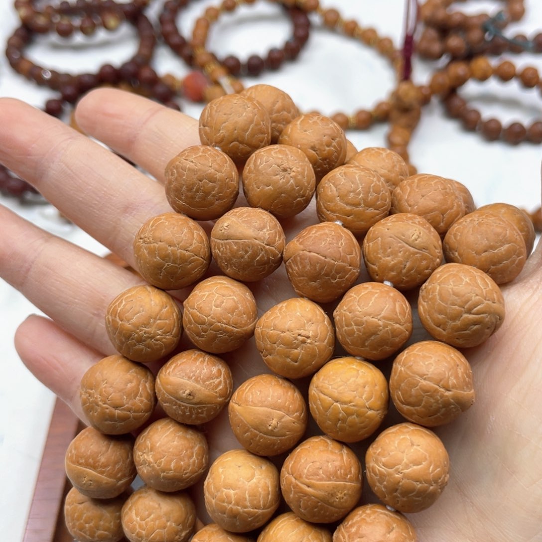 凤眼菩提手串L188-K10凤眼菩提15+左右同树新籽