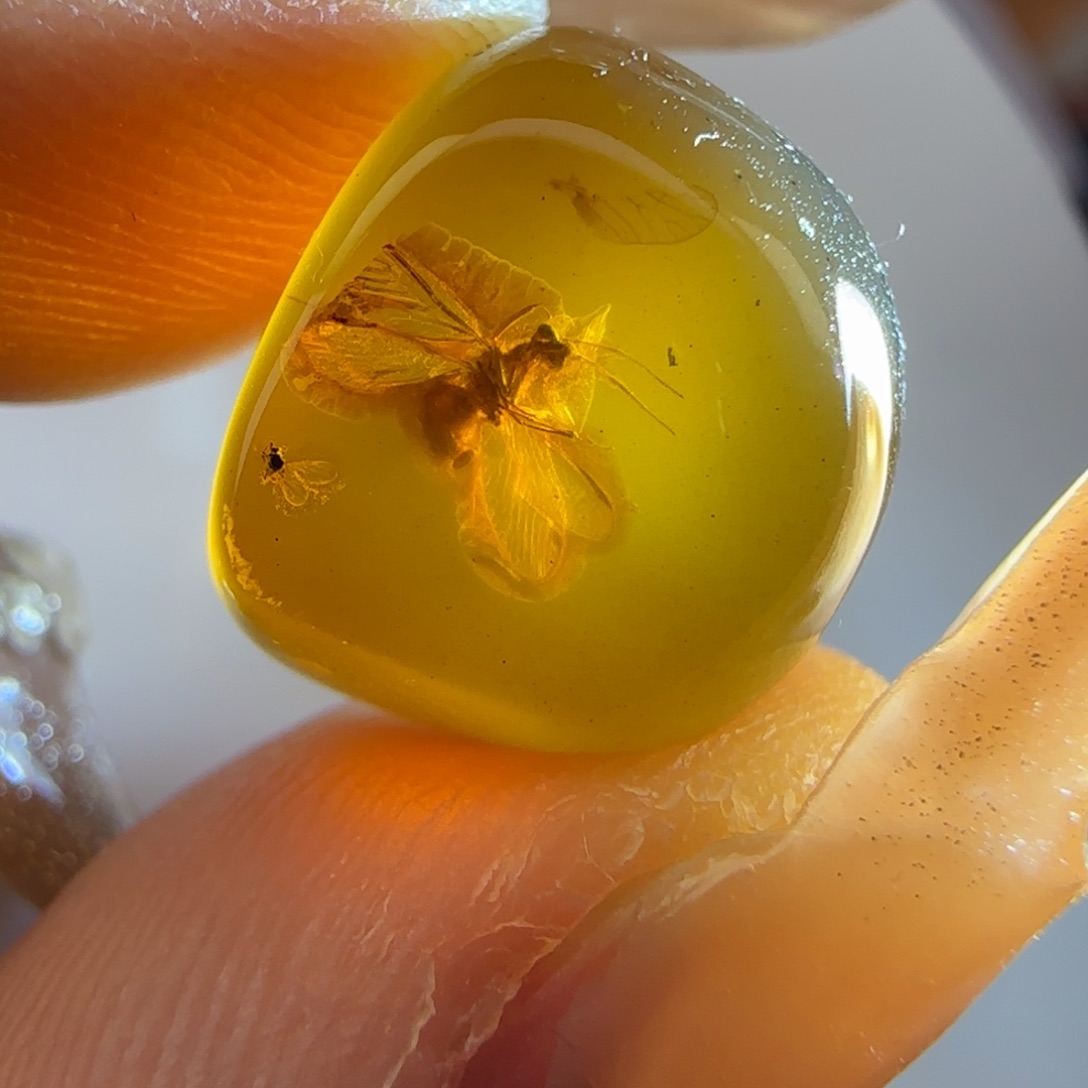 琥珀裸石未镶嵌展翅的玲