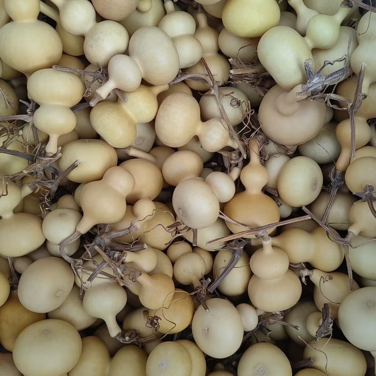 天然八宝手捻小葫芦把玩挂件随机发货